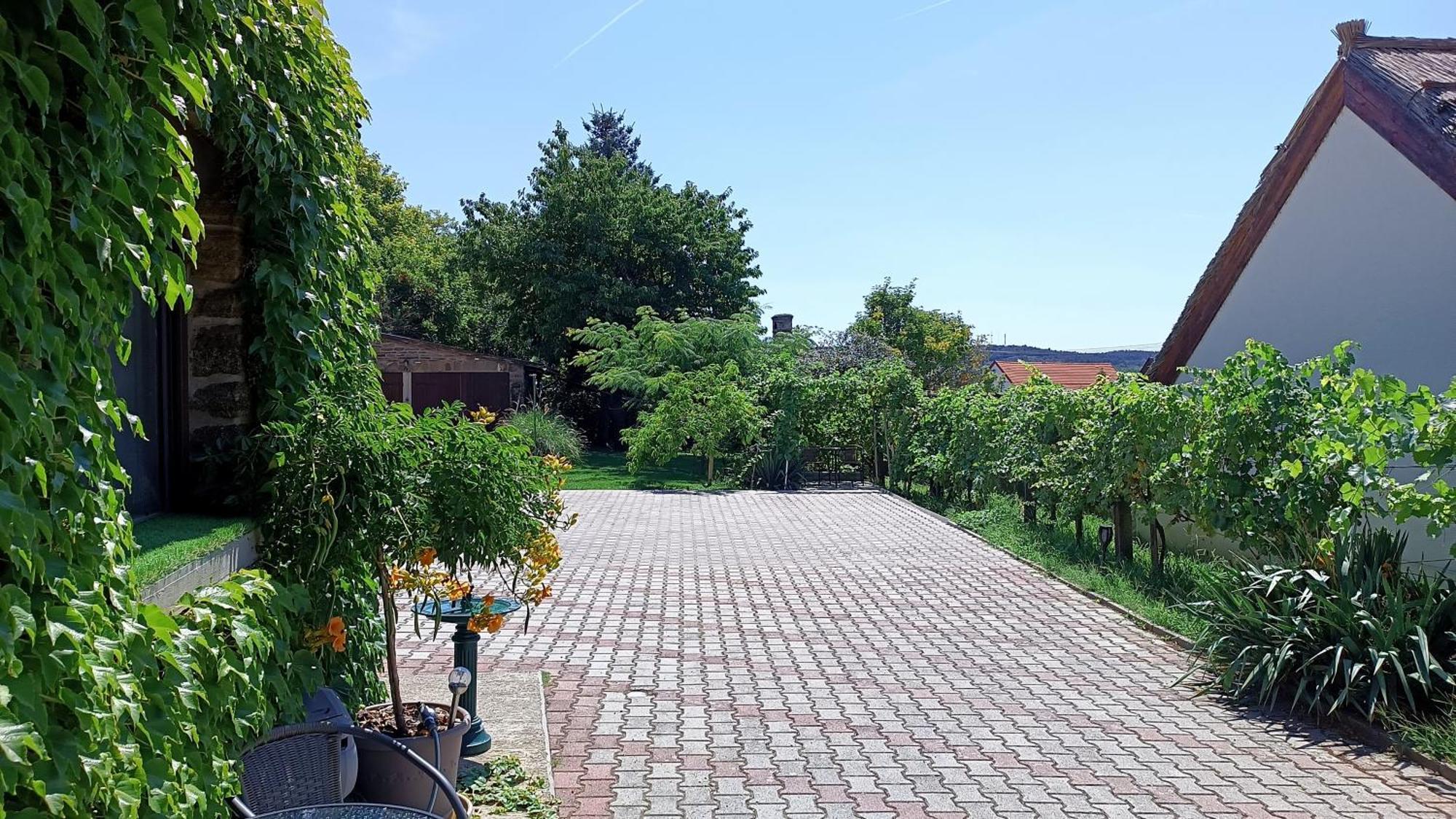 T.H.Ny Village Inn Cottage Тихань Екстер'єр фото